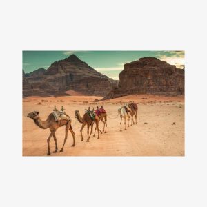 2 Day private tour from Amman to Petra_ Wadi Rum_ Aqaba Dead Sea