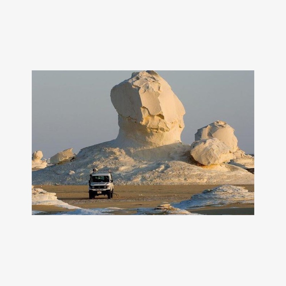 Bahariya-Oasis-White-Desert-Tour-Photoroom