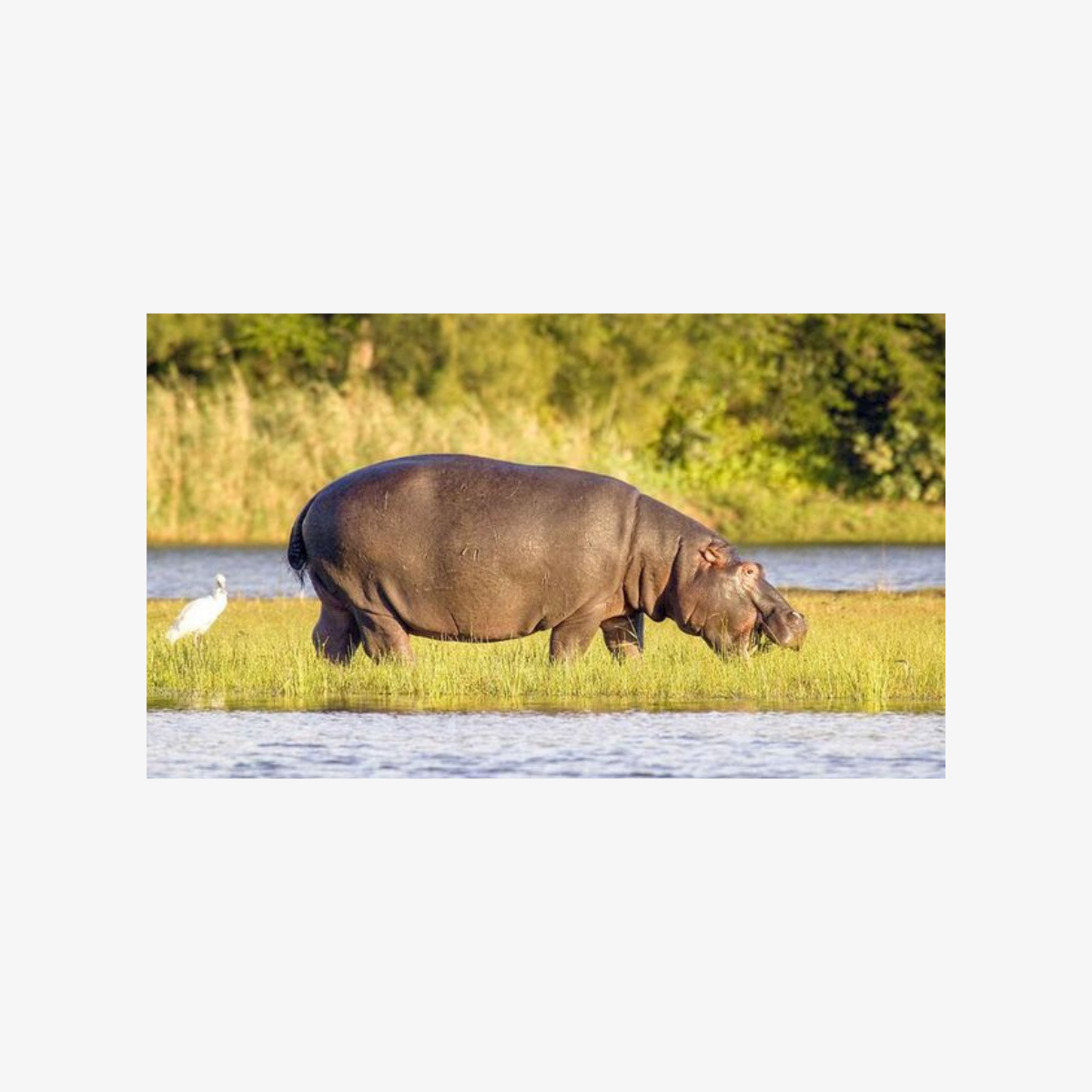 Half_Day_iSimangaliso