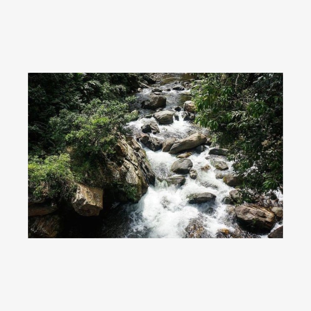 Hike-for-4-days-to-the-Lost-City-Santa-Marta-Photoroom