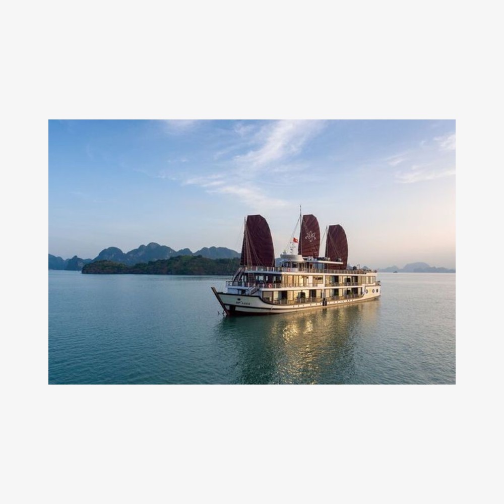 Orchid-Trendy-Cruises-Photoroom